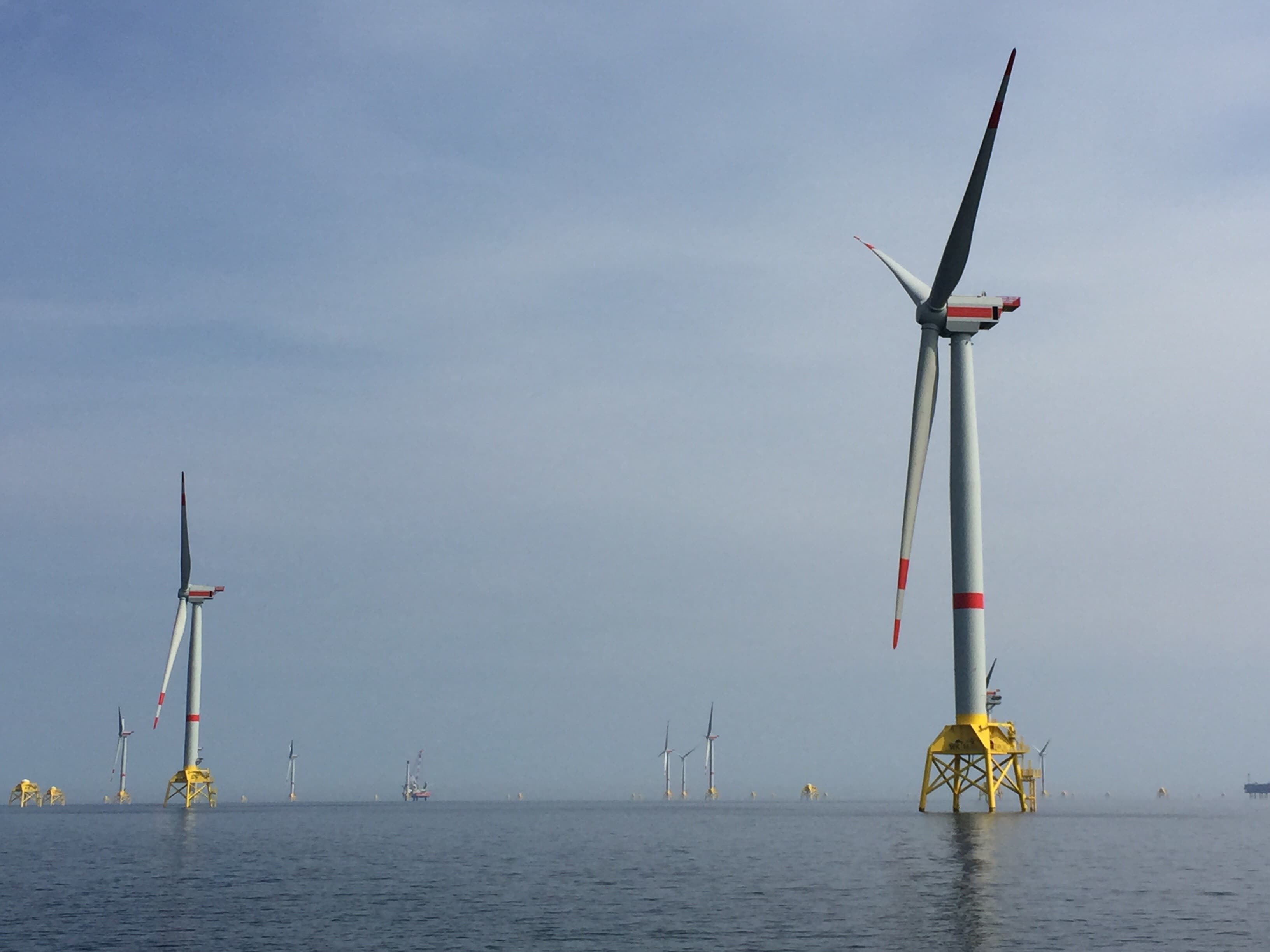 Offshore wind farm